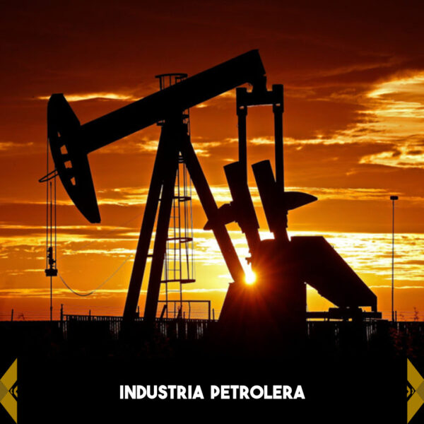MINIATURA INDUSTRIAS_Conjunto de datos 14