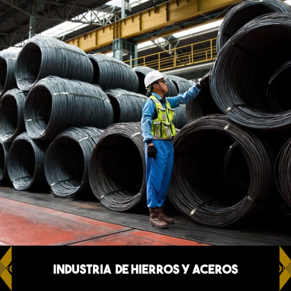 MINIATURA INDUSTRIAS_Conjunto de datos 4