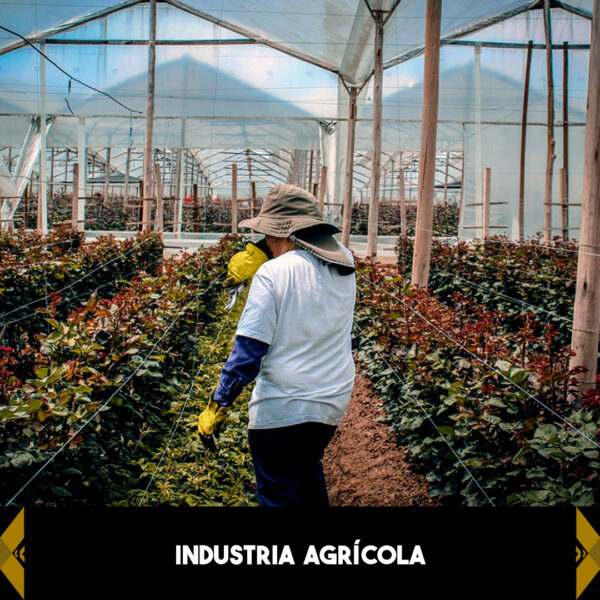 MINIATURA INDUSTRIAS_INDUSTRIA AGRÍCOLA