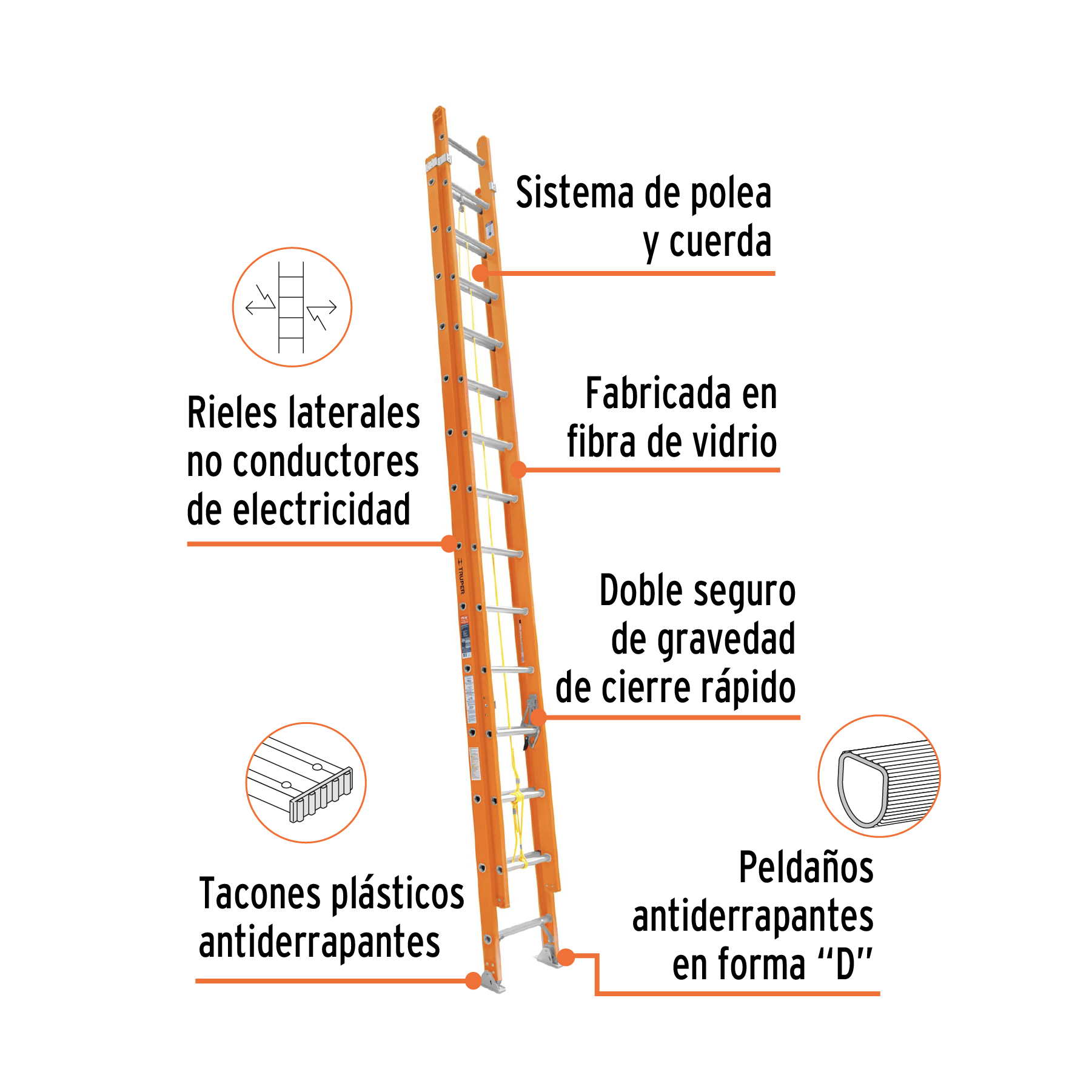 TRU100228 - B