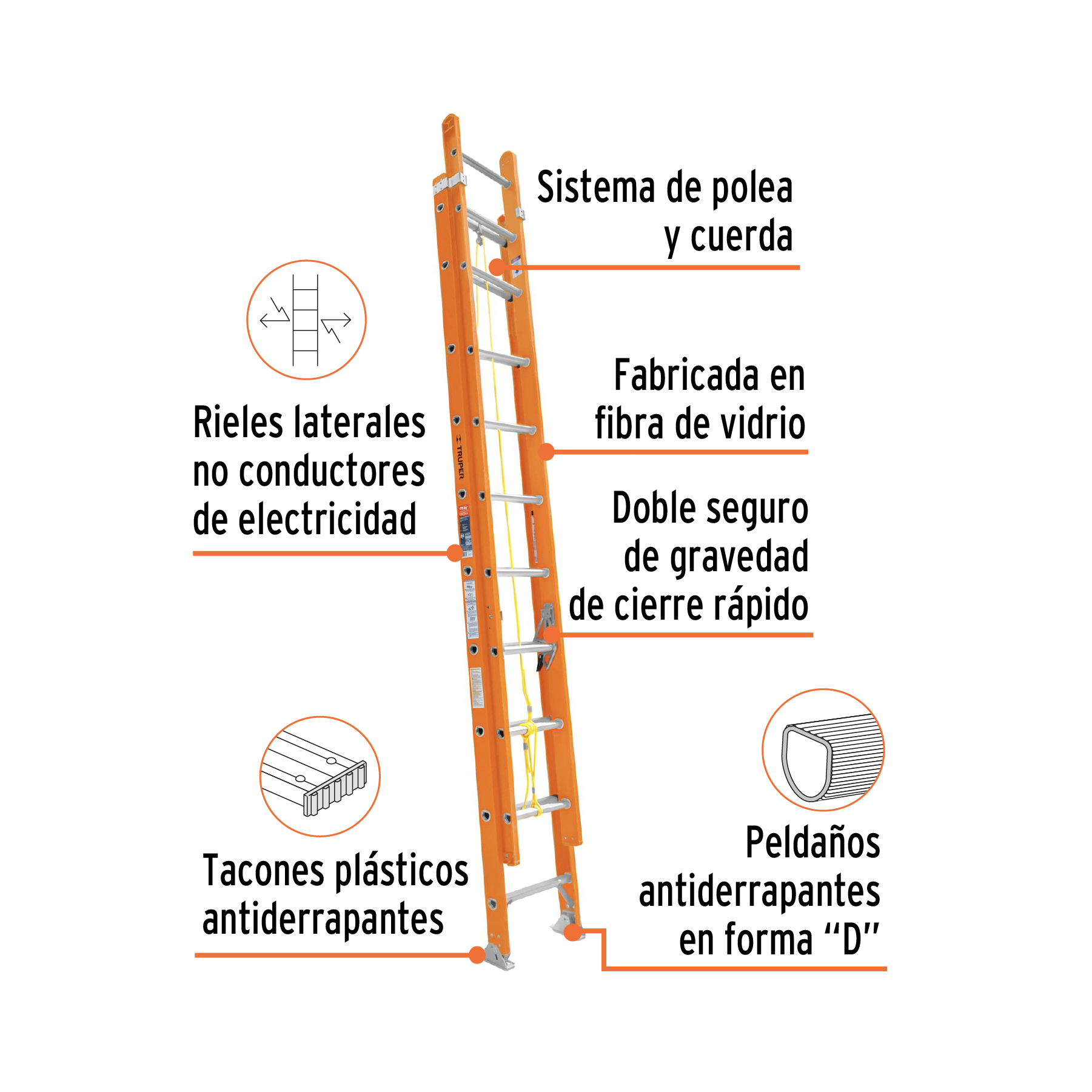 TRU100229 - B