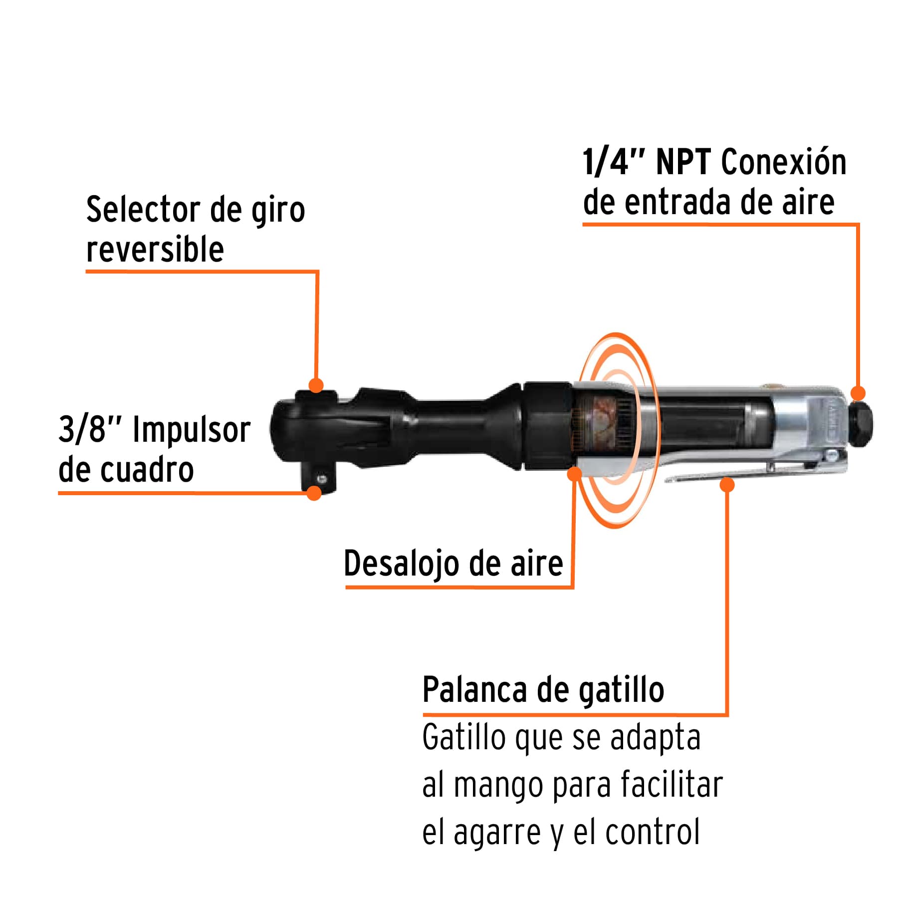 TRU16888 - B