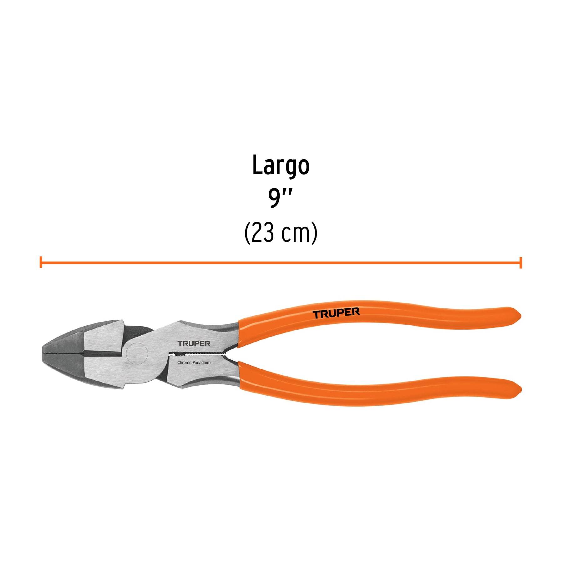 TRU17328 - C