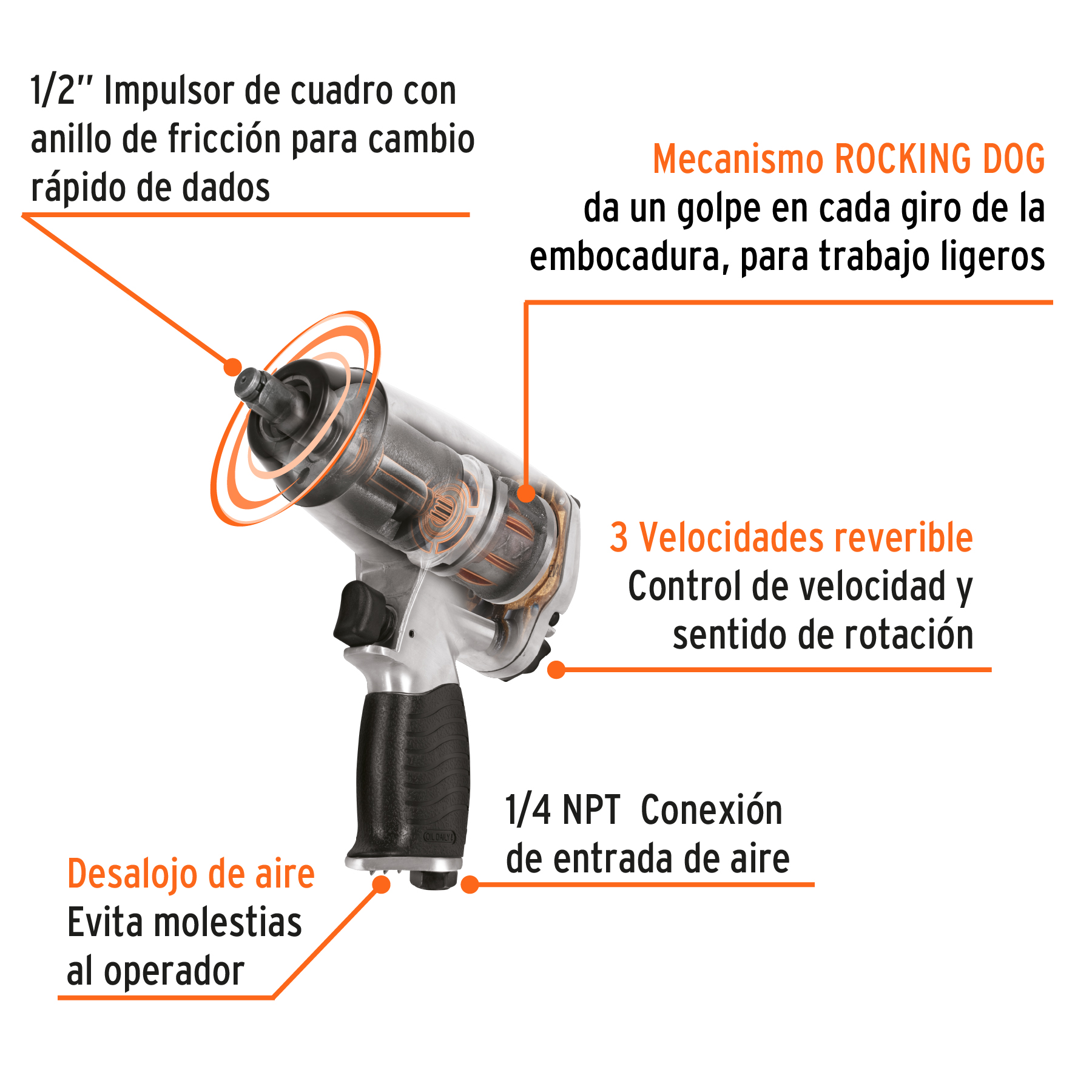 TRU18242 - B