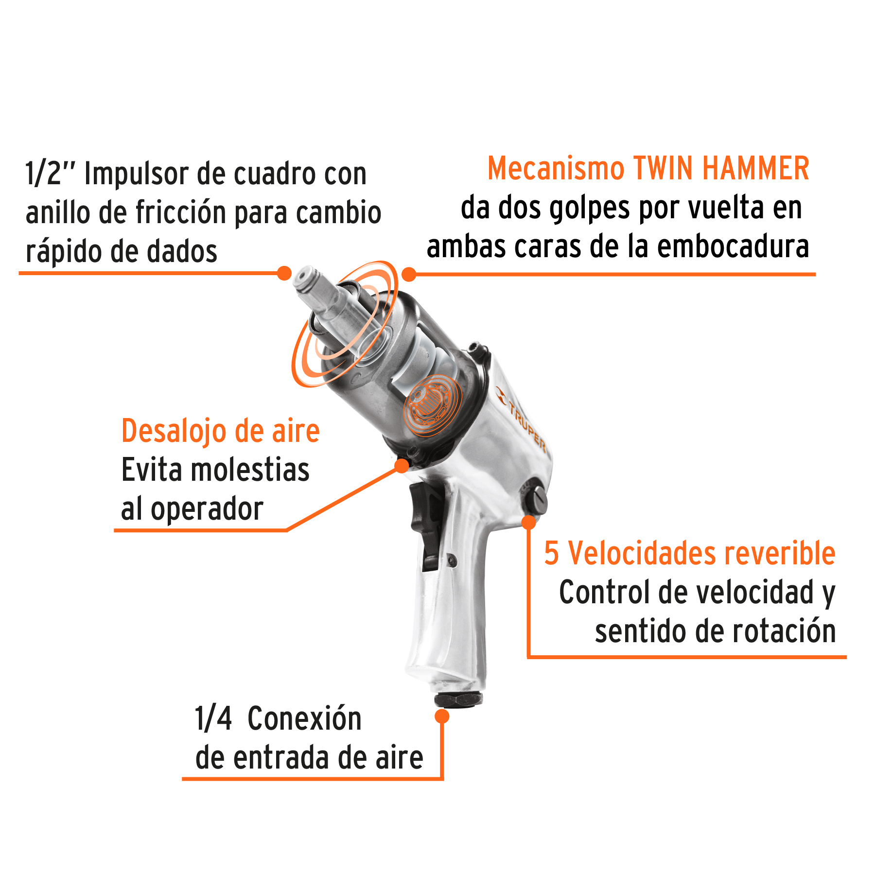 TRU18281 - B