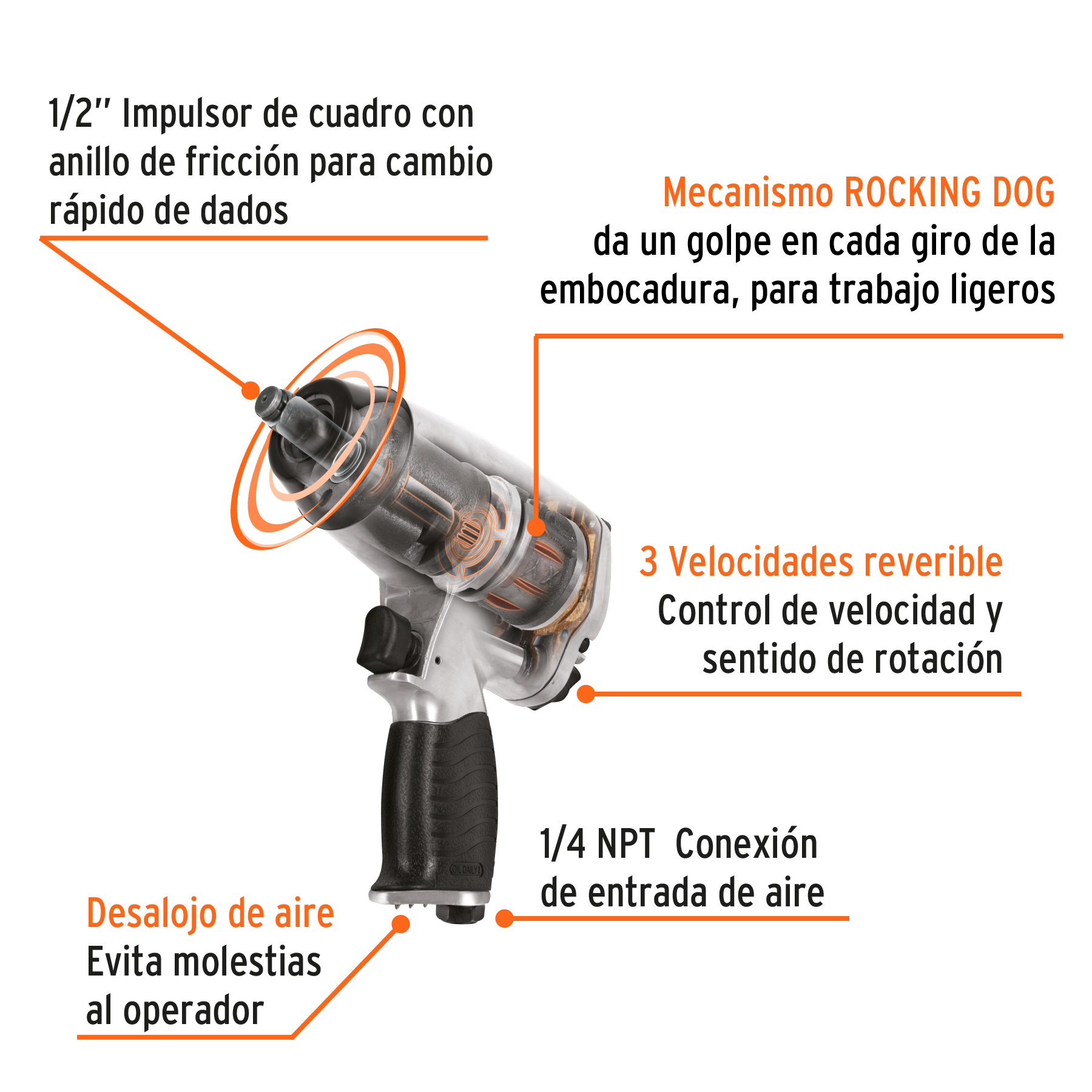 TRU19372 - B